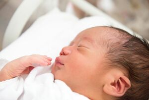 ※写真はイメージです