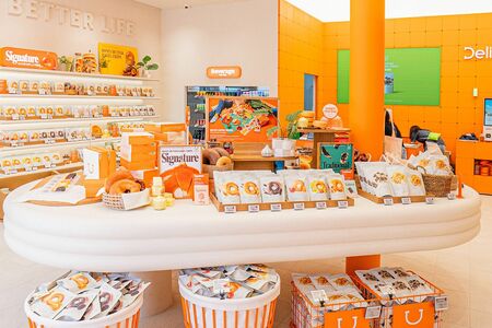 ディライトプロジェクト