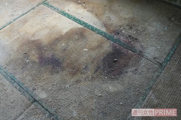 共食いの跡だろうか、畳はところどころ赤黒く変色していた