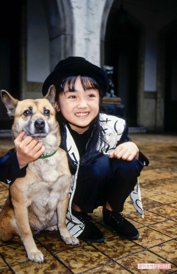 『家なき子』（'94年）