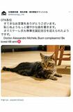 自身と同じ誕生日のミケーレ氏に祝福メッセージを送る椎名林檎(ツイッターより)