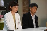 月9ドラマ『監察医　朝顔』 シーズン2がスタート （フジテレビ系）