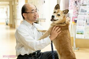 若山さんにじゃれつく、ホームの看板犬・文福。殺処分の寸前に保護され、ここへ引き取られた