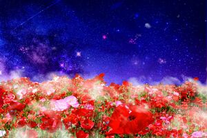 お花畑」や「三途の川」など、なぜ決まったものを臨死体験では見るのでしょうか？　その不思議をひもといていきます