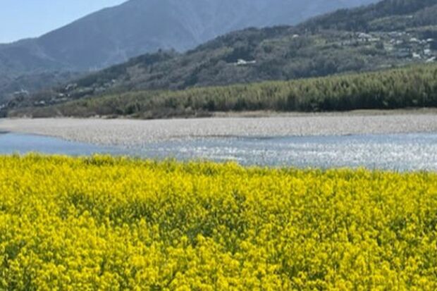 うつ病治療中は故郷で過ごした。今は時々子どもを連れて、自然を満喫。「故郷はいいですね」