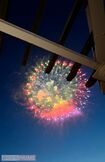 澄んだ夜空に花火がきれいでした　写真提供／加藤綾菜