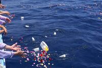 家族葬、直葬、樹木葬、送骨、献体…葬儀をできるだけ安くすませる方法を比較