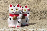 【知って楽しい雑学】招き猫のポーズ、左右で決まりがある?両手は「お手上げ」で避ける人も、意外なご利益