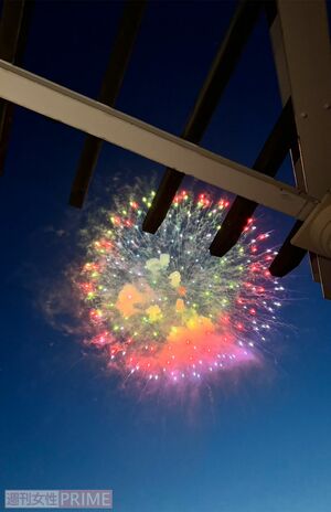 澄んだ夜空に花火がきれいでした 写真提供/加藤綾菜