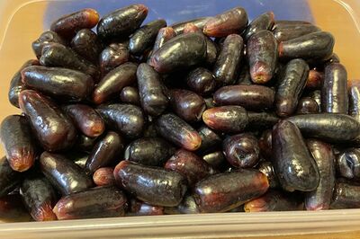 「見慣れない形で、食欲が失せてしまった」という『ブラックシードレスグレープ』（舞さんユーチューブより）