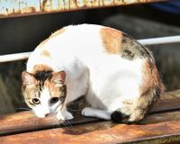 勝地涼 撮影終了後もあのアイドルを見たくて居残り見学