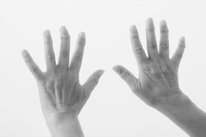 ※画像はイメージです