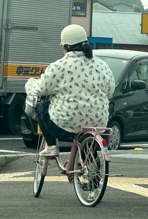 自転車で通学。誰よりも早く学校に到着したいため、早朝に起床し出発!