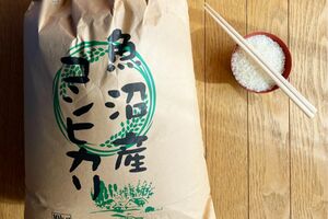 建設業や製造業などでもお米やおこめ券を優待特典として実施している企業も増えた ※写真はイメージです