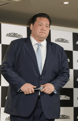 「株式会社アソビダス」設立記者発表会に参加した元横綱・照ノ富士（撮影／伊藤和幸）