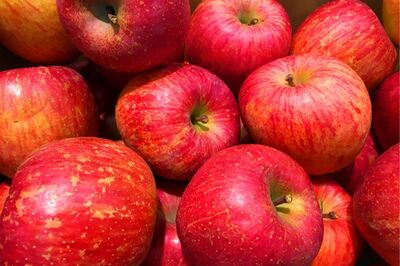 ダイエットのイメージがあるりんご（写真はイメージです）