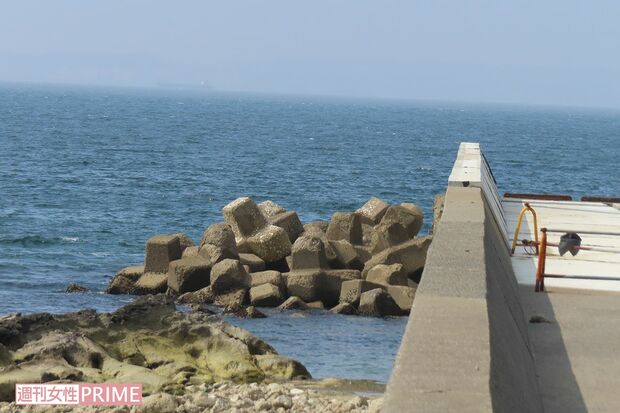 突き落とされた岸壁は釣りスポットではあったが