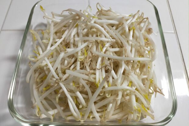 もやしは水を張り密閉容器で冷蔵室へ