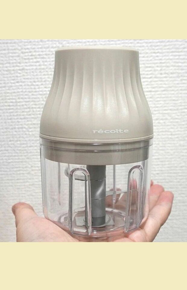 手のひらサイズでコンパクトなウィナーズ「レコルト コードレス薬味チョッパー」（筆者撮影／東洋経済オンライン）