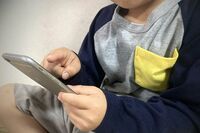 オンラインカジノの疑問点を専門家に聞いた「やったら犯罪?」「どうしてハマる?」「どこに相談を?」