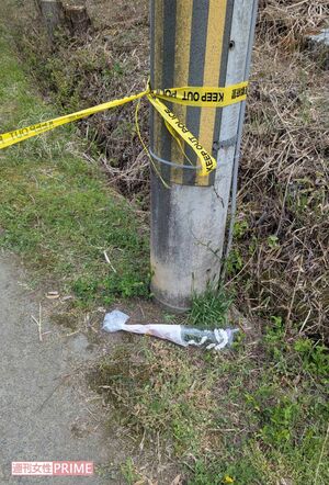 《京都小6男児行方不明事件》遺体現場へ続く道に置かれた献花。安達結希くんが可愛がっていたハチのご主人が手向けたという