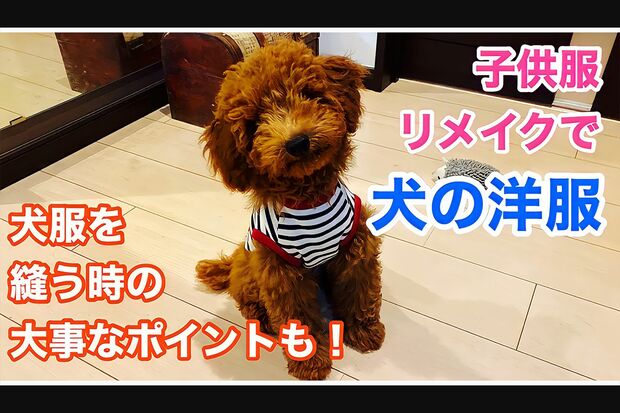 『ミシンばあば』洋裁歴60年の技と知識で犬の洋服も！（YouTubeより）