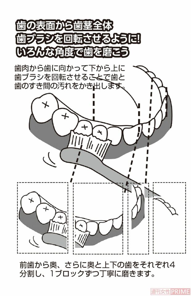 いろんな角度で歯を磨こう！　イラスト／とげとげ。