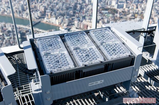 間接照明でツリーを照らすダイナペインター。照明部分にはLEDがぎっしりと埋め込まれている