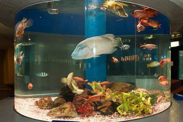 『のとじま臨海公園水族館（のとじま水族館）』公式HPより