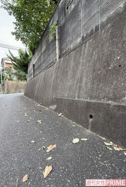 《千葉市》保田葵容疑者宅の周囲の道には落ち葉がよく溜まり、近所の人が掃除することもあった