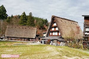家の前には田畑が広がっている白川郷