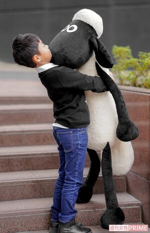 ひつじのショーンを抱きかかえる右近くん　撮影／佐藤靖彦