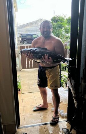 アマゾンの大型魚をプールに移す江口容疑者（本人のSNSより）