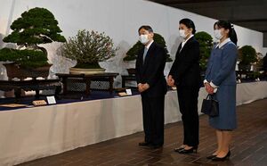 2024年の国風盆栽展のご様子