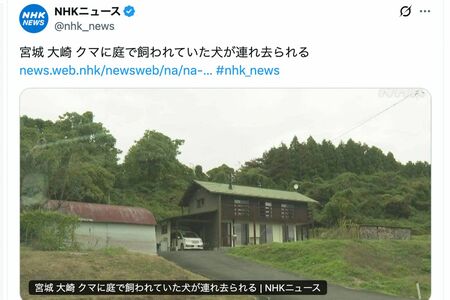 NHKニュースが報じたクマ被害のニュース見出し(公式Xより)