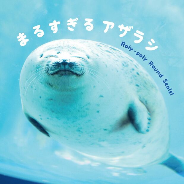 『まるすぎるアザラシ』1200円＋税　4月17日発売　発売元：パイインターナショナル　※記事内の画像をクリックするとAmazonのページにジャンプします