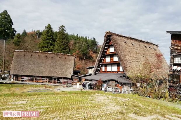 家の前には田畑が広がっている白川郷