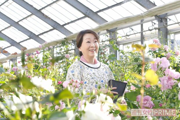 映画『ブルーヘブンを君に』6月11日公開(c)2020「ブルーヘブンを君に」製作委員会