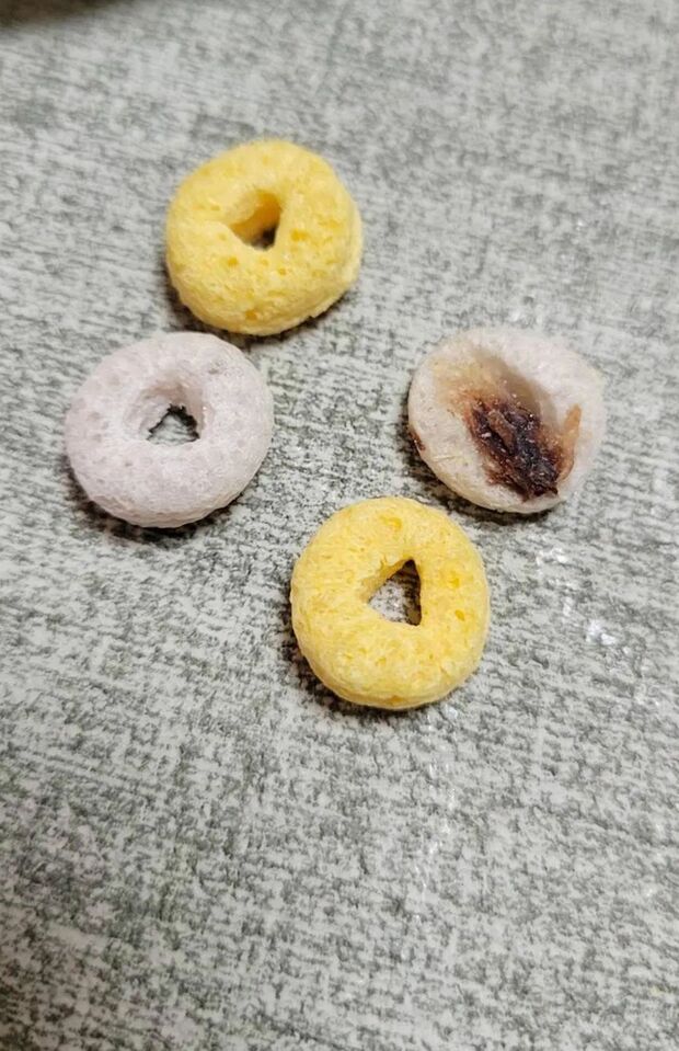 シリアルに異物が混入していたという投稿（スレッズより）