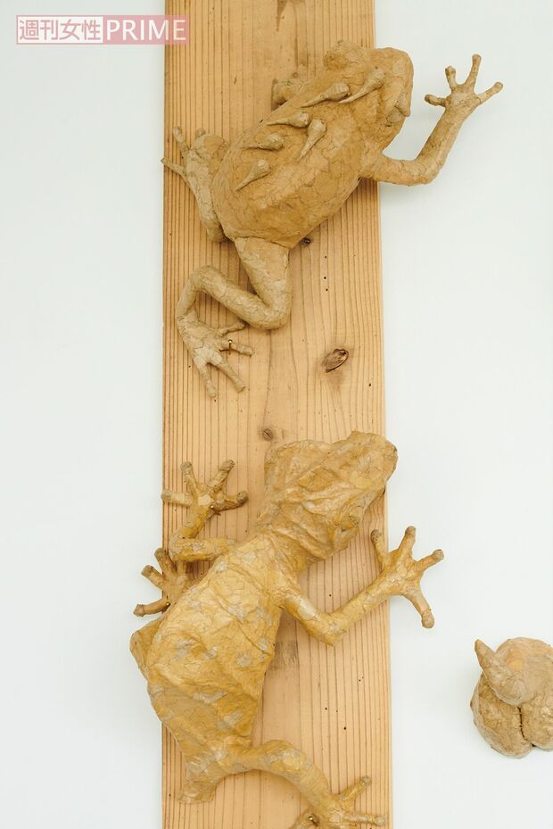 「上のカエルはイチゴヤドクガエルといって、森の中で卵を産み、背中に子どもを乗せて水場へ運んでいくんです」。作るときは生態系まできちんと調べるそう　撮影／山田智絵