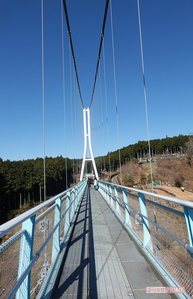 三島スカイウォーク　撮影／編集部