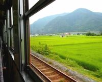 美肌の近道 紫外線がとても強いバス・電車では窓際を避ける