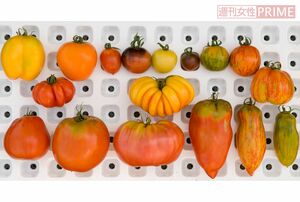 林の畑でとれたいろいろな種類のトマト。まさに“野菜界のパリ・コレ”のよう