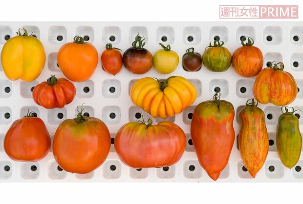 林の畑でとれたいろいろな種類のトマト。まさに“野菜界のパリ・コレ”のよう