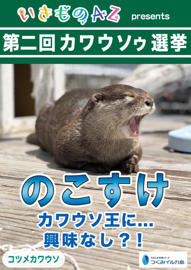 のこすけ