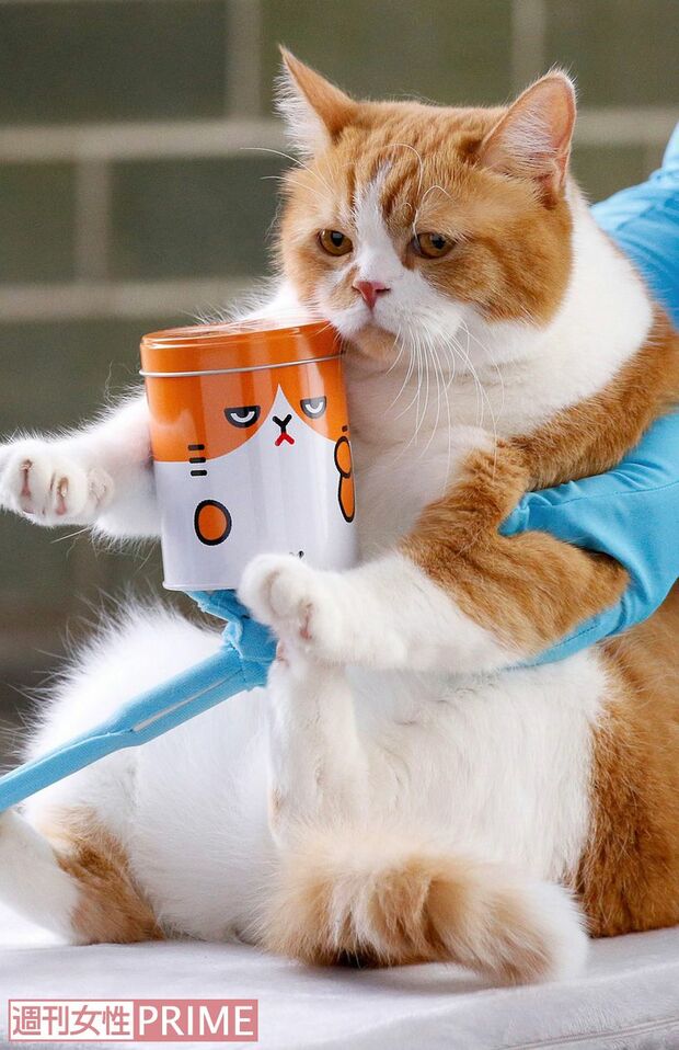 難しい姿勢はZOO動物プロの北村さんがサポートし、あとから映像加工をするそう　撮影／伊藤和幸