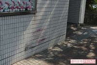 90歳の暴走老女が起こした死亡事故、釈放後の様子を息子が語る