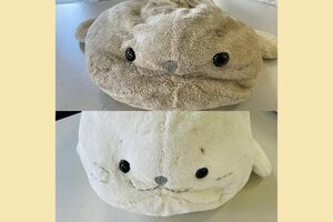 しぼんでいた『しろたん』のぬいぐるみ（写真上）がふっくら、真っ白に！（下）　最近はアニメやアイドルの『推しぐるみ』の依頼も多いという