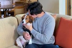 犬を抱いてMVP発表の番組に出演した大谷翔平(MLB公式Xより)