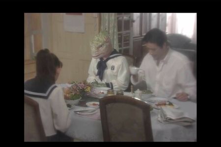 『イグアナの娘』で川島なお美さんが演じた母親の視点からは、娘の菅野美穂がイグアナに見えてしまう（TVerより）